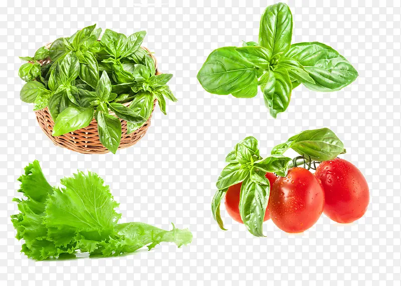 ��ɫ�߲�-������