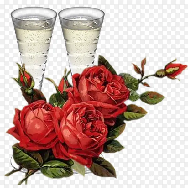 �ʻ�������-������