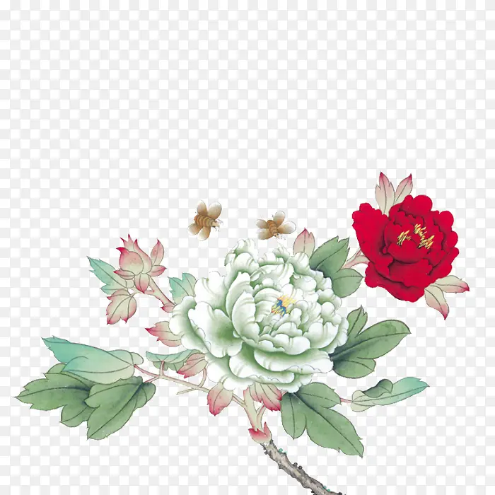 ˮ�ʹŷ�ۺ�ɫĵ����-������