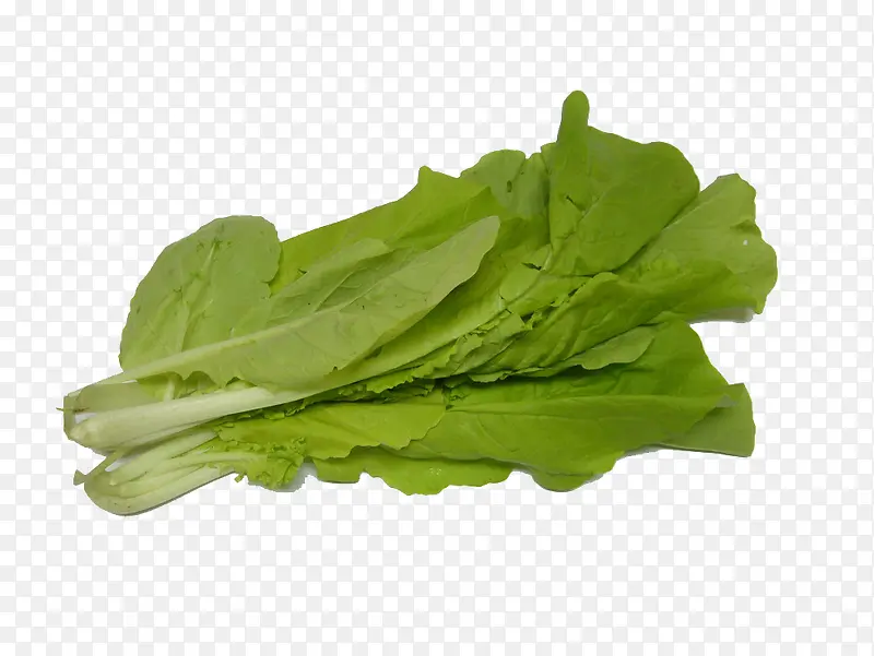 �߲�ͼƬ�߲����� ����-������