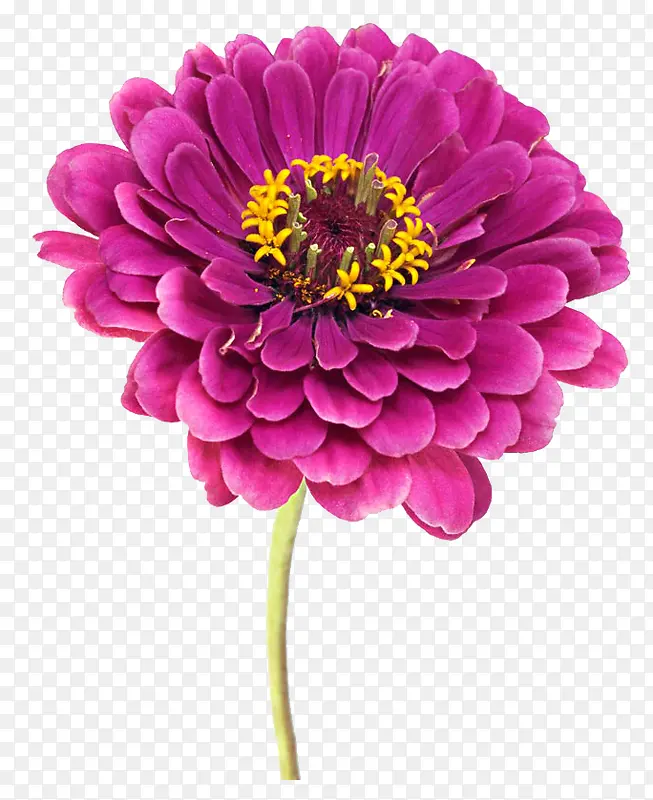 PNG���ղ����-������