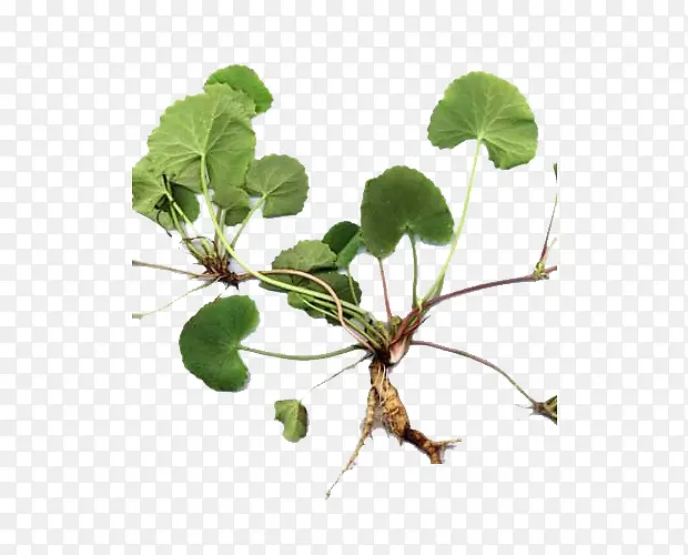 ��ѩ��ʵ��-������