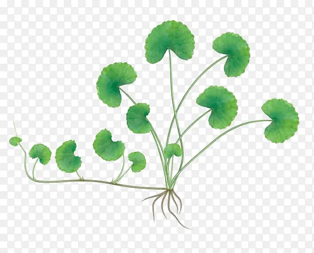 ��ͼ��ѩ��-������