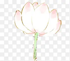 ��ɫ��������-������