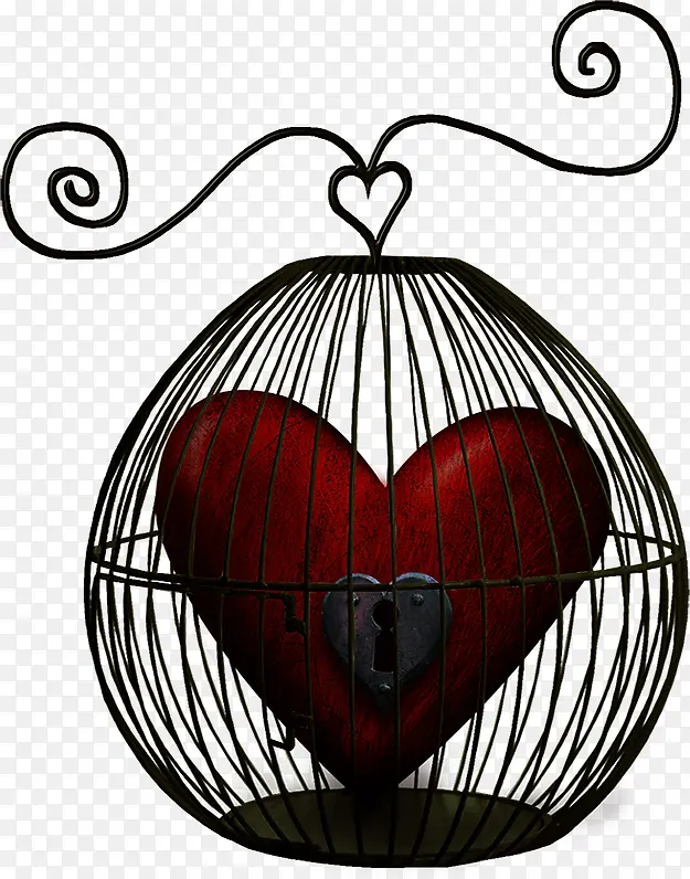 ��ɫ����������Ϧ���˽�-������