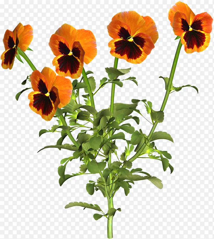 ��ɫ�β��-������