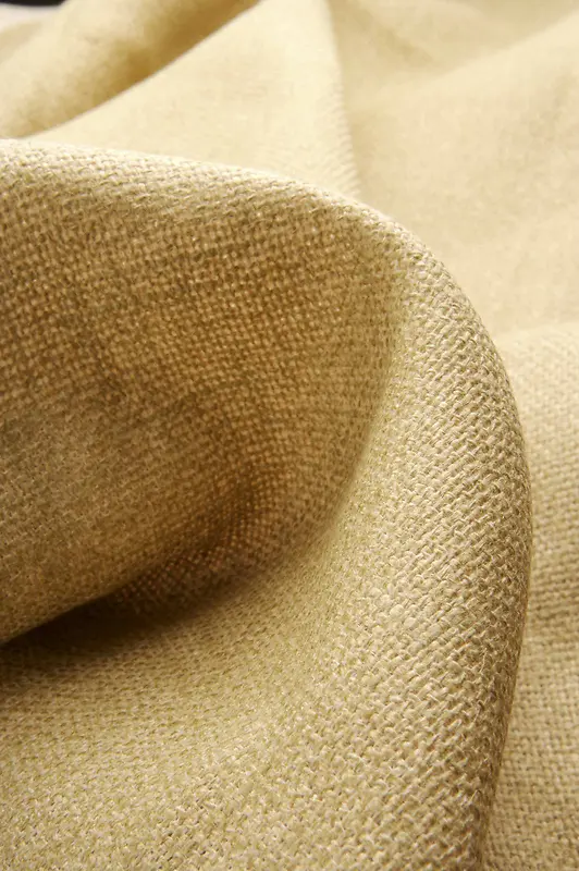 �����鲼�����ز�-������