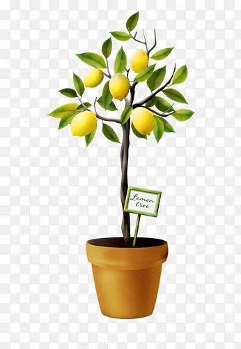 �������ز�-������