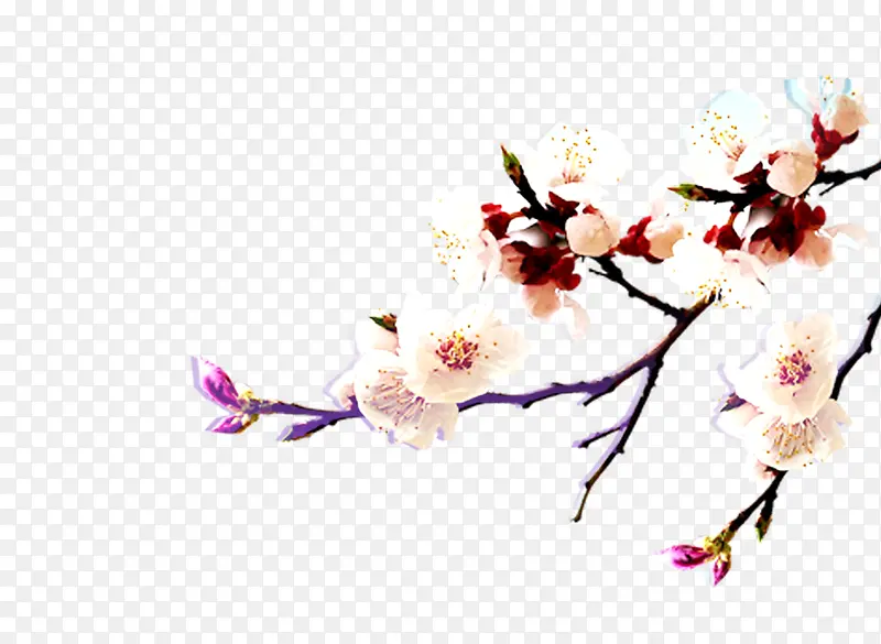 ÷��-������