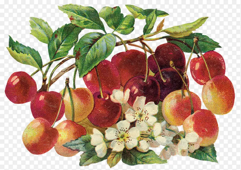 �ֻ�ˮ������ͼƬ-������