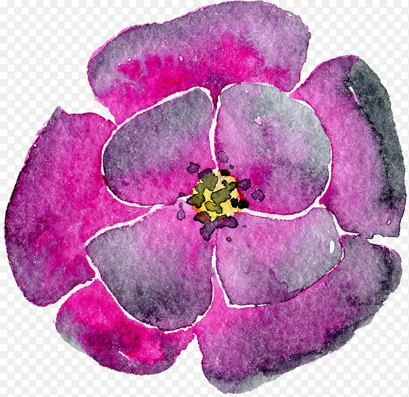 ͸������ˮ�ʻ��仨��ֲ���ز�-������