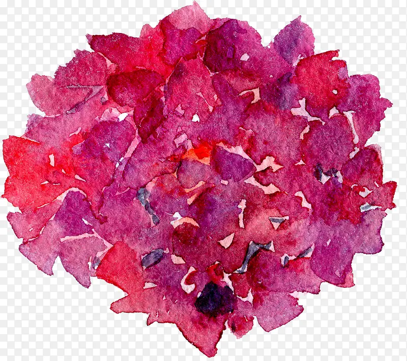 ͸������ˮ�ʻ��仨��ֲ���ز�-������