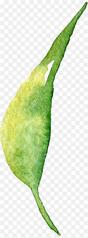 ͸������ˮ�ʻ��仨��ֲ���ز�-������