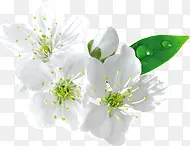 ��ɫ�Ļ���-������