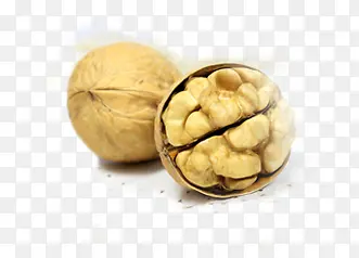 ���Ӫ������ʳ��-������