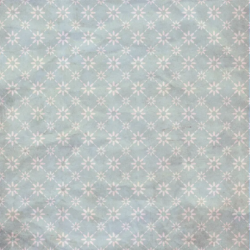 �黨���Ʋ��Ʊ���-������