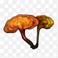 ��ͨ�ֻ洴����֥-������