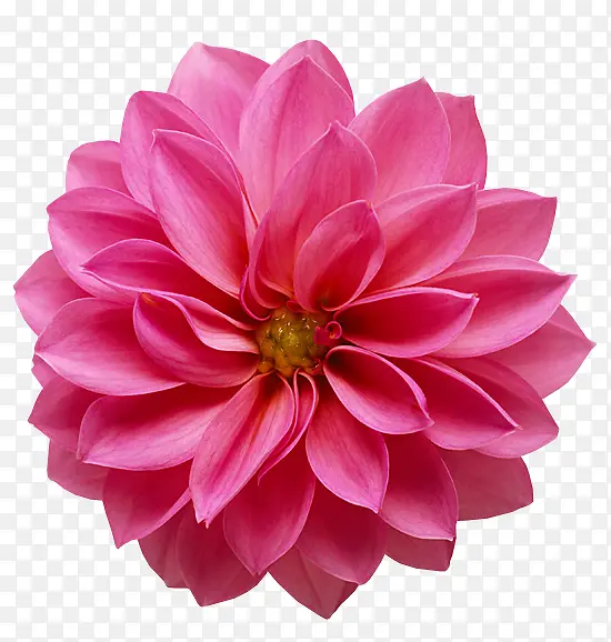 �������軨�ܲ廭-������