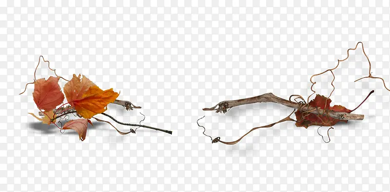 ���Ƶ���Ҷ-������