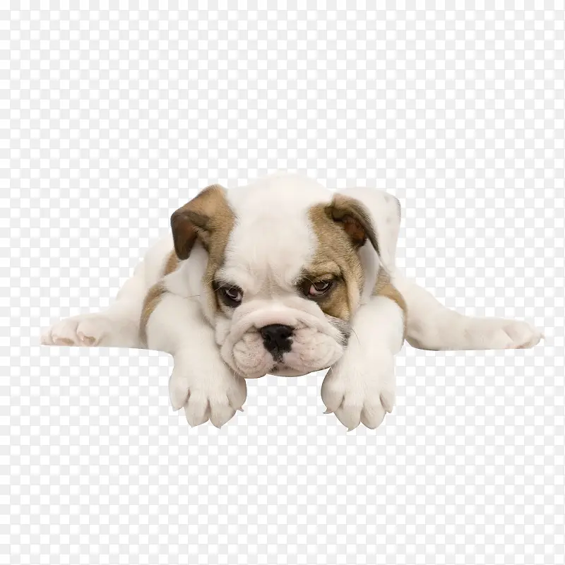 ����-������