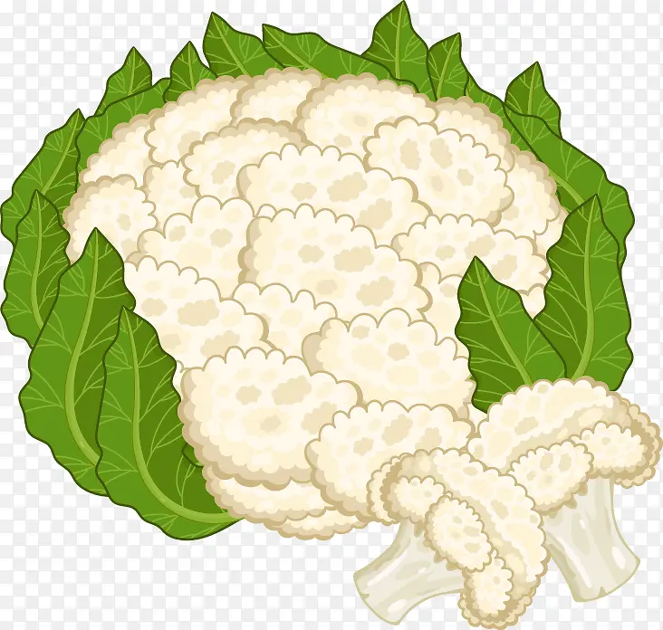 ��ͨʸ���߲˻�Ҭ��-������