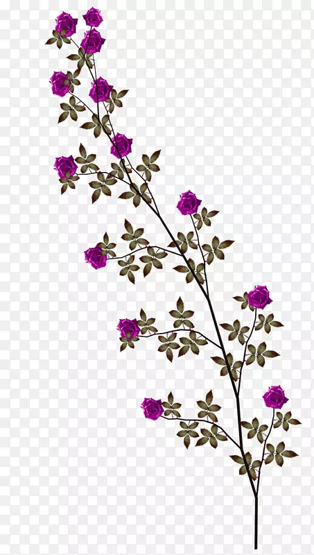 ������-������