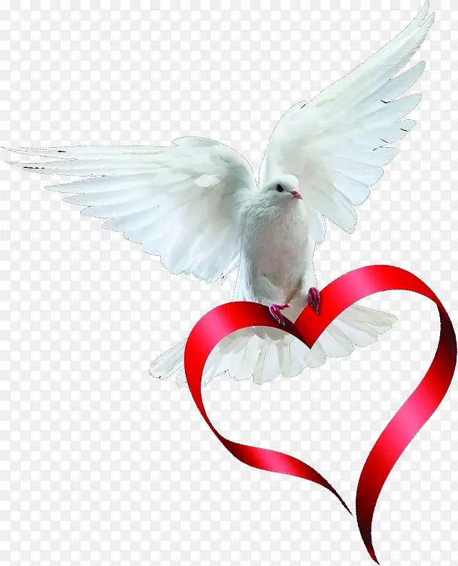 �׸��ɫ��������-������