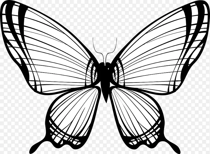 �������-������