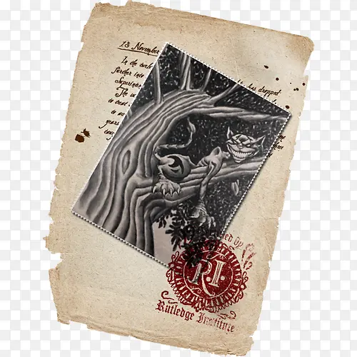 ������ֽ-������