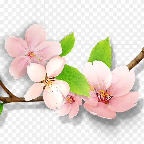 װ���ӻ��ز�-������