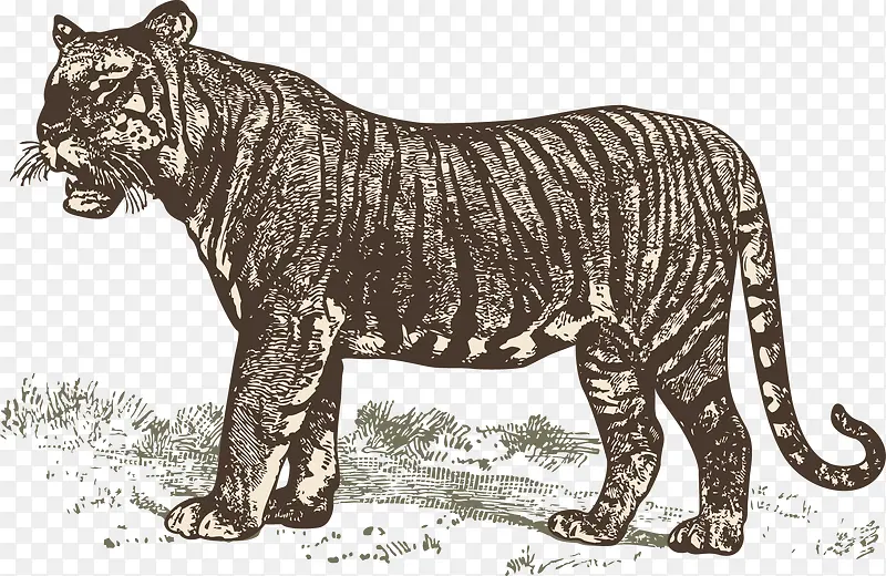 �ϻ�-������