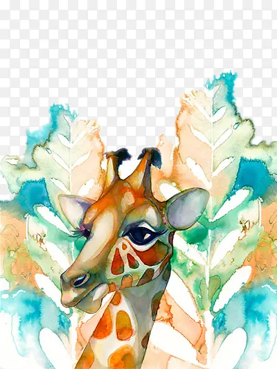 �廭-������