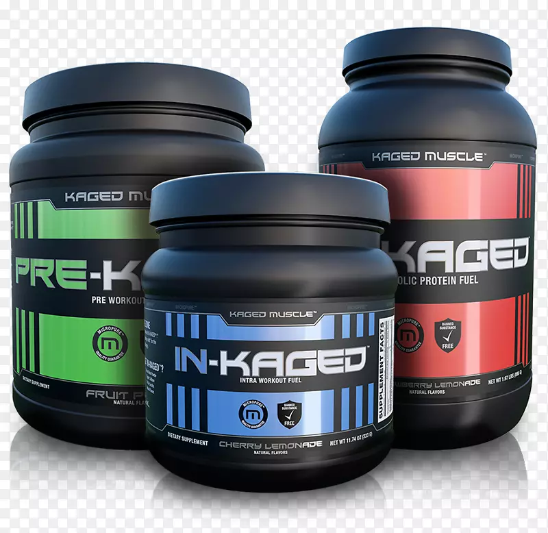 ��ʳ���������ʴ��������֧�������ὡ��-������