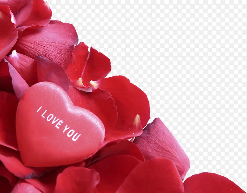 ��ɫ����װ��-������