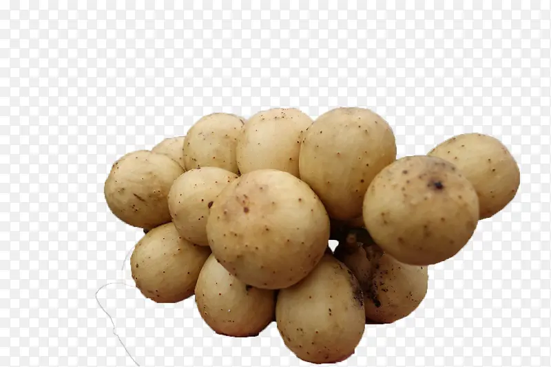 ̩��ˮ��������-������