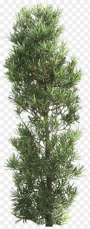 ������Ӱ��������-������