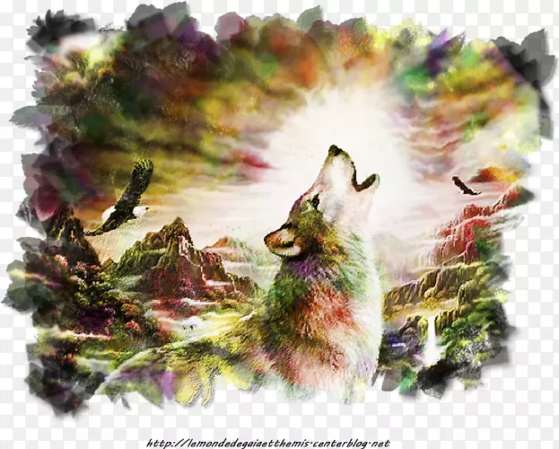 ��Ƭ���˲���-��-������