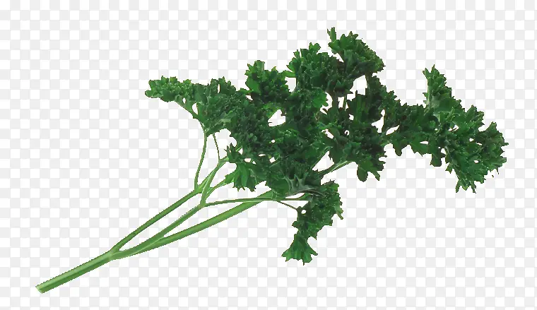 һ�����-������