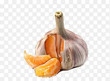 ��ɫʳ����������-������