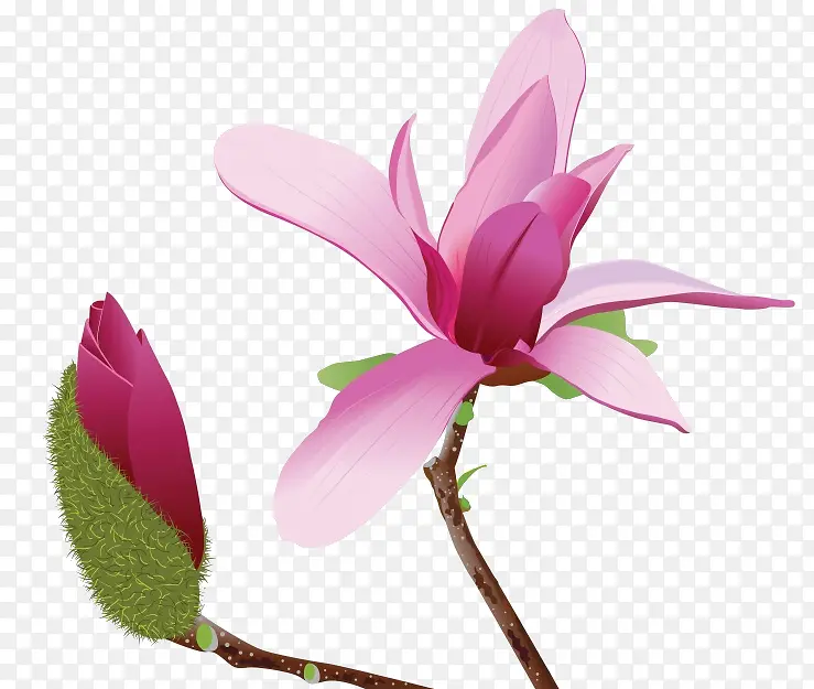 �ֻ�ˮ�ʲ廭����ľ����-������