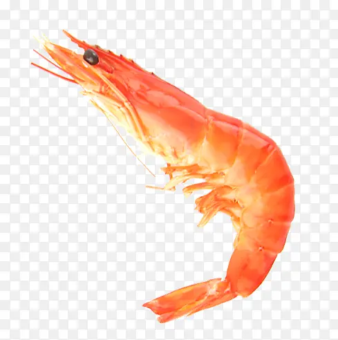 ��Ʒʵ�������Ľ�ɫСϺ-������