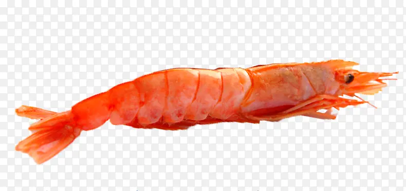 ��Ʒʵ���ɫСϺ-������