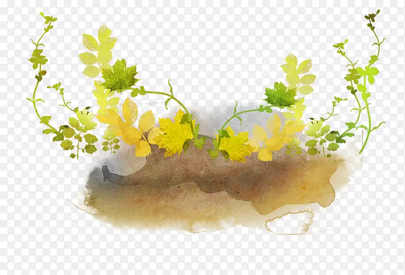 ˮ����֦-������