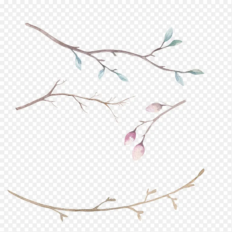 ��֦-������