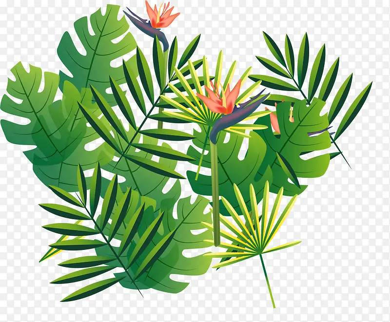 �����İŽ�Ҷ-������