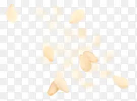 ʳ���ʵ������Ư��-������