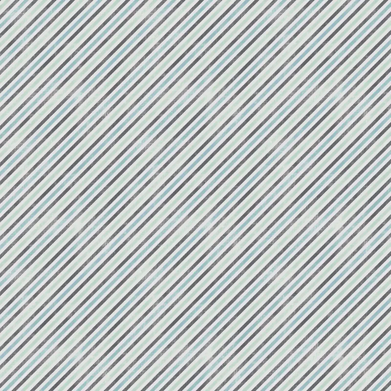 �������Ʊ���-������