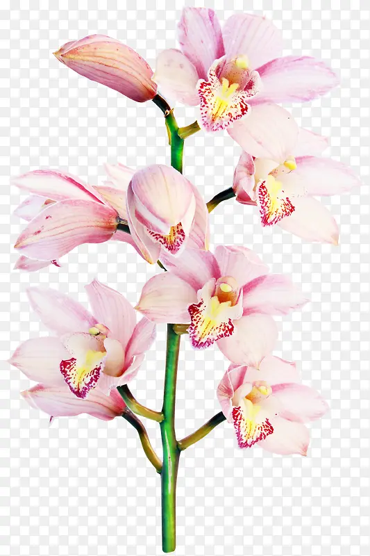 ���������ز��ֻ�װ���ز�-������