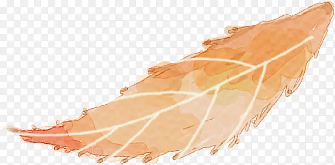 ��ɫ�ֻ�ҶƬ����-������