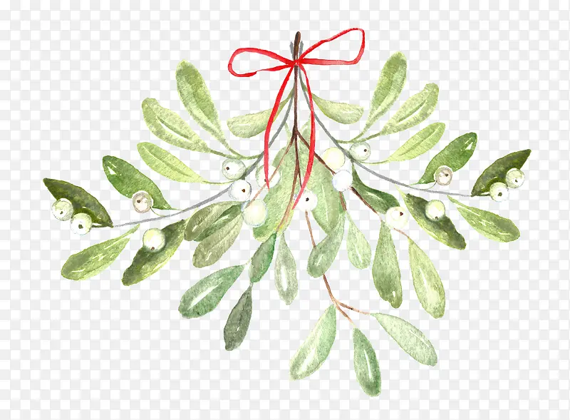 ˮ��ֲ��װ��-������